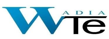 Wadia Techno-Engineering Services Limited logo