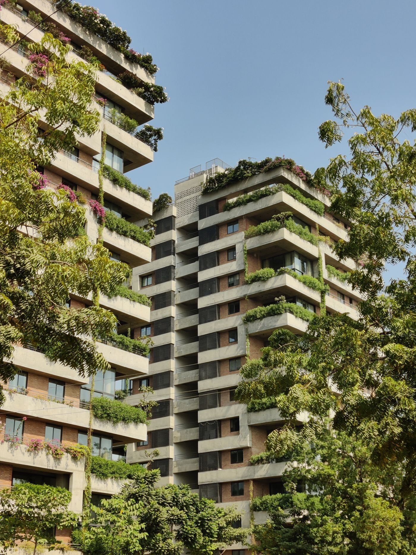 Residential apartment buildings with green balconies